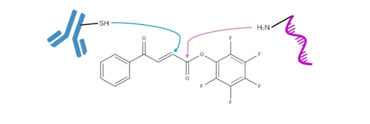 BA-PFP2 linker showing points of attachment of thiol and amine ligands