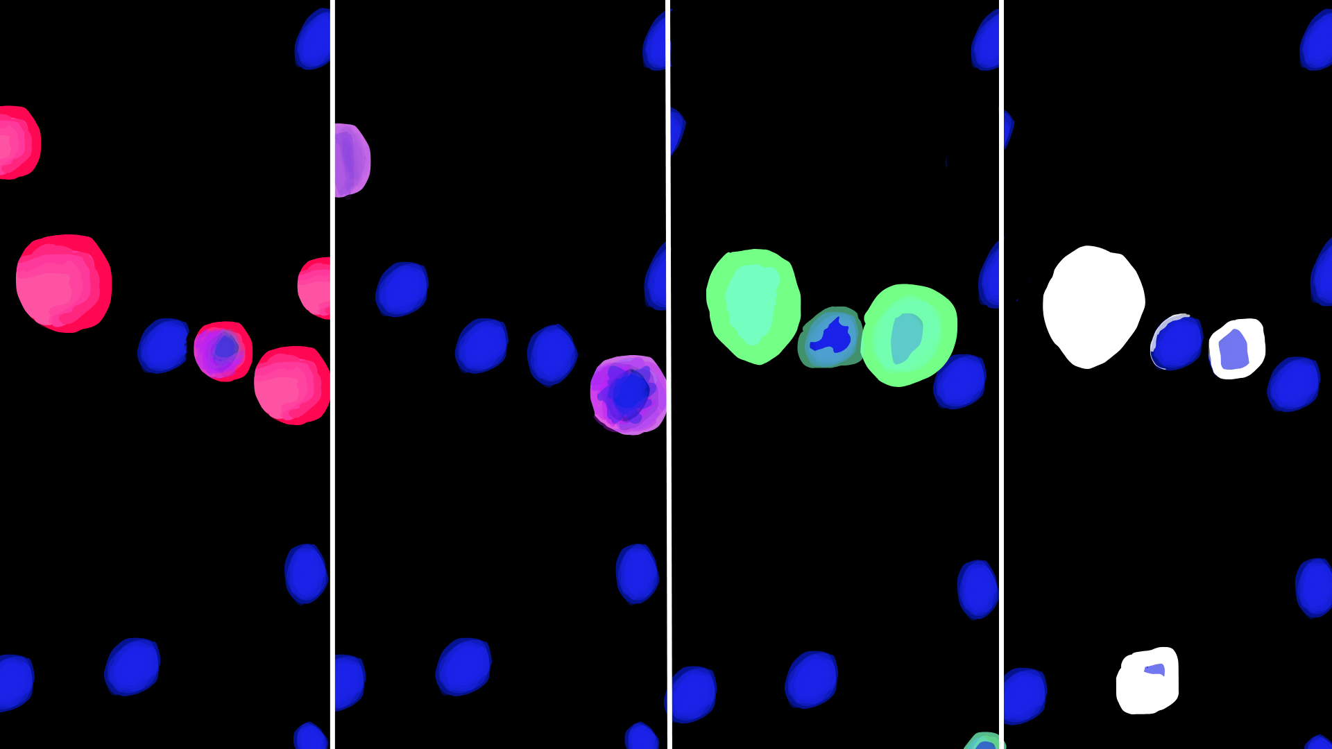 Fluid-Squid multiplexed imaging showing different cell populations with fluorescent markers